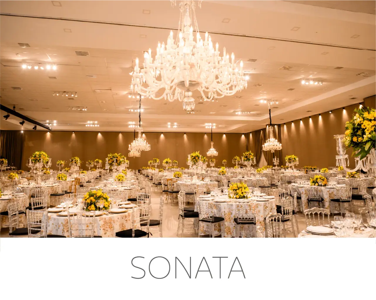 Salón Sonata armado para cena